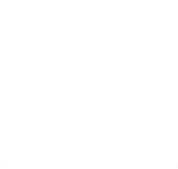 RevolutionRace logo