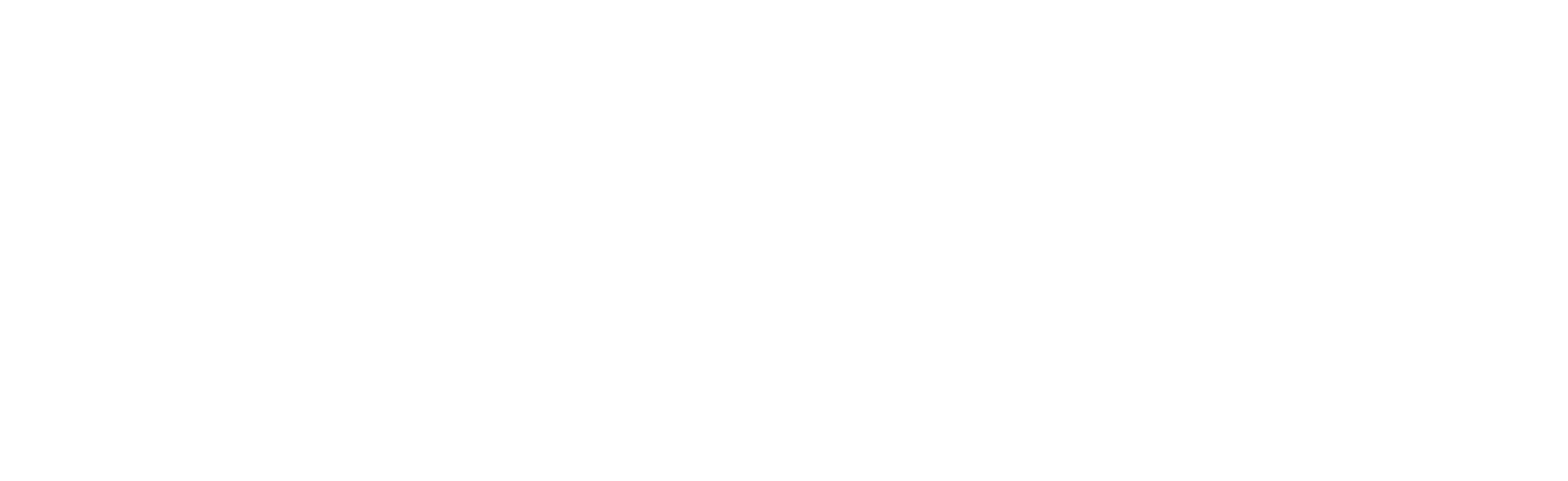 Nokian Tyres logo