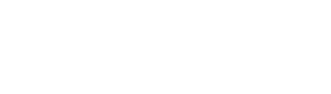 Visma DataLøn logo